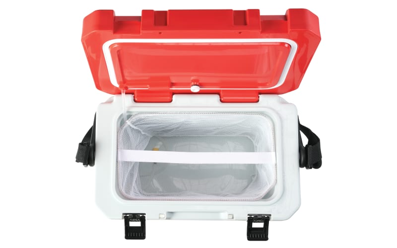 Fish Cooler, Bait Cooler, High Capacity Fishing Bait Box Cooler Box Ice  Coolers, Portable Fishing Live Bait Station, Fishing Lure Box, Insulated Box  for Drinks, Food, Live Baits, Fishing Accessories, Coolers 