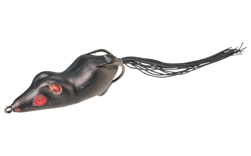 best bass fishing lures 2020 Spring Bass Fishing Gear Review