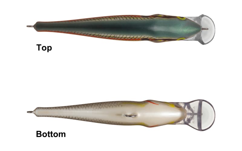 Rapala Super Shad Rap 14 – Esca Crankbait Da 140 Mm Per Luccio E Muschiato
