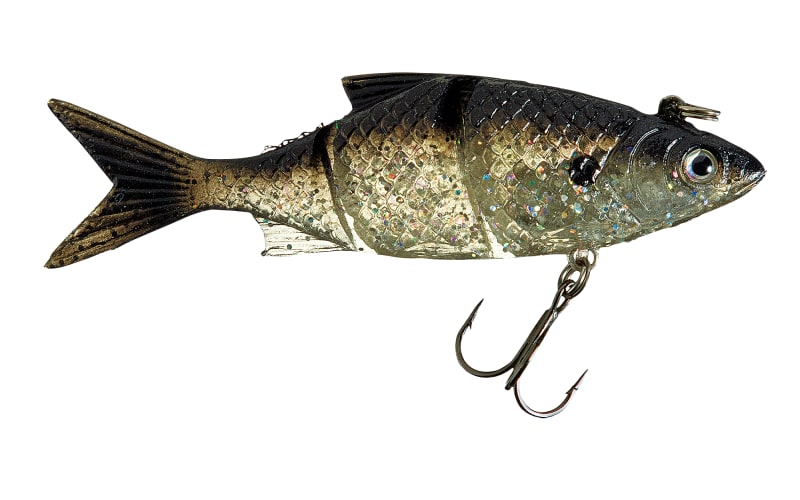 Fishing Lure Review - Bass Pro XPS Extreme Rattle Shad