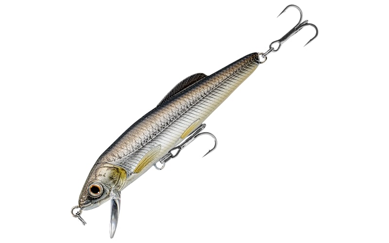 bass pro live target lures LIVETARGET Minnow Jerkbait