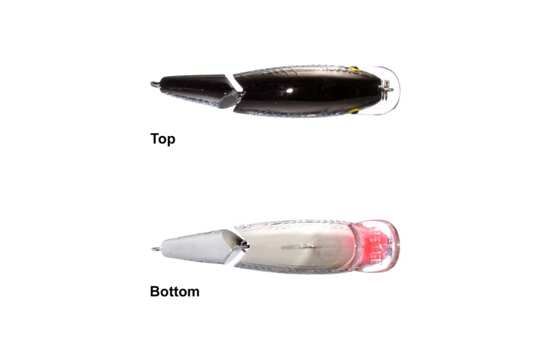 Jointed Minnow - 3/32 oz - Tennessee Shad - Rebel J4948