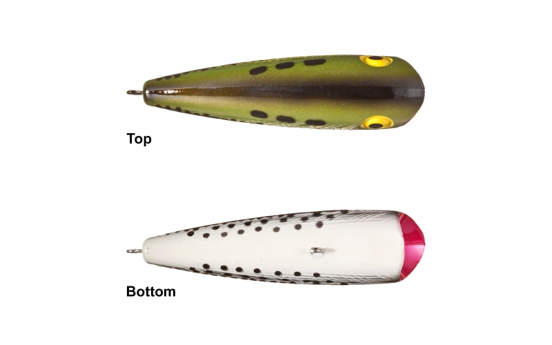 Rebel Lures P6017 Pop-R Fishing Lure - Ol' Bass, 2 1/2, Topwater