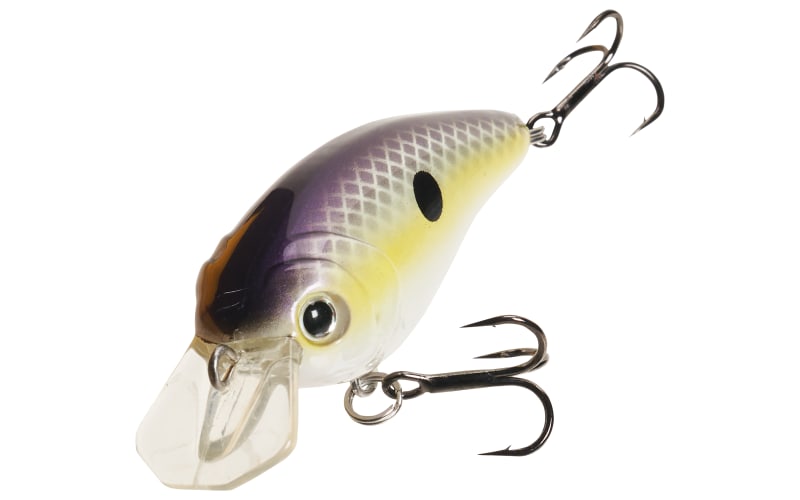 Leurre Bass Pro Shops Silver & Black Tourney Special Popper - Neuf, Envoi Gratuit