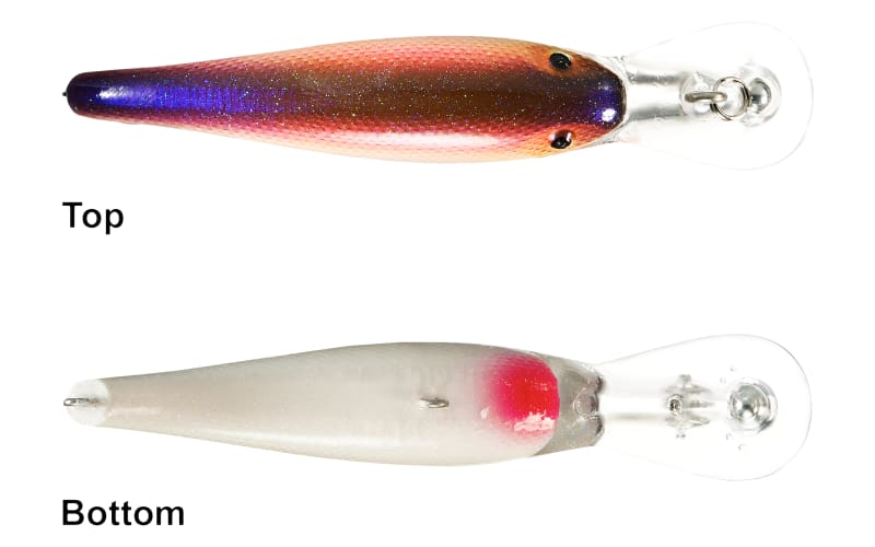 COTTON CORDELL Wally Diver Series CD695 Fishing Lure, Crankbait, Bass,  Gamefish, Walleye, Gold Perch Lure D&B Supply