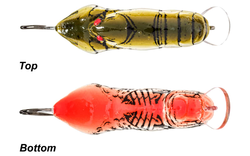 Rebel Micro Crawfish | Bass Pro Shops