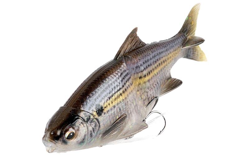 Savage Gear 3D Soft Shine Line-Thru Glide | Mack's Prairie Wings