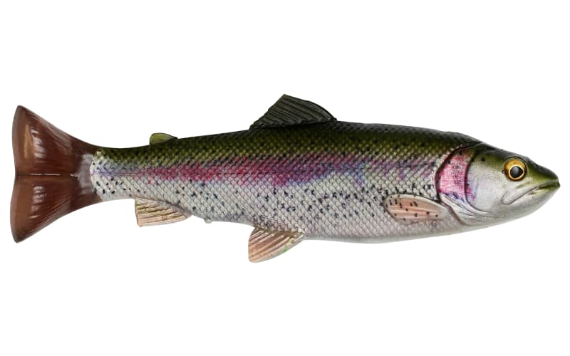 Savage Gear 4D Pulse Tail Line Thru Trout Swimbait | Cabela's