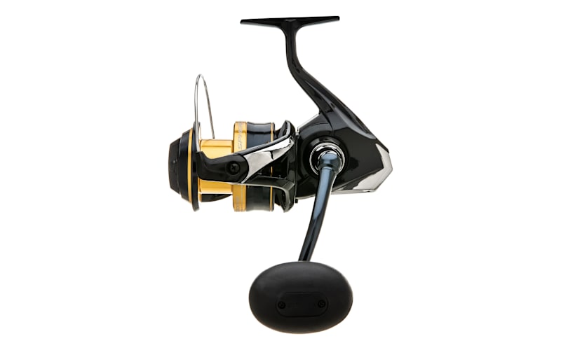 303492-268979_main?pgw=1