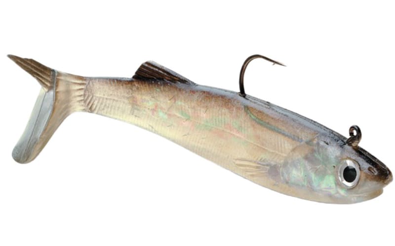 Storm® WildEye® Live Anchovy Lure Bass Pro Shops Canada