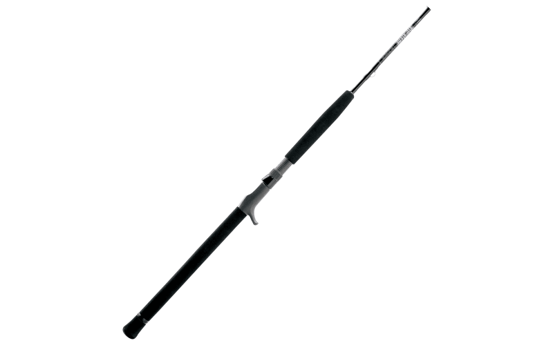 fishing rod ugly stik platinum Ugly Stik Elite Spinning Rod
