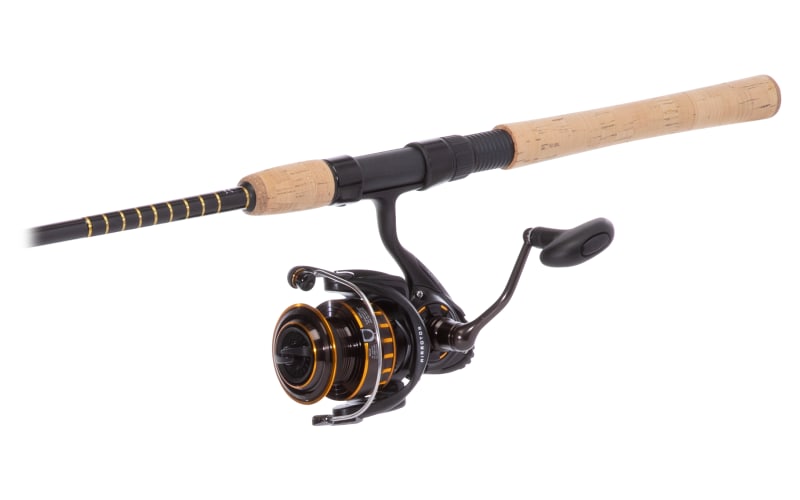 Buy Daiwa BG Spinning Reel, Black/gold, 3000 Online at Lowest Price Ever in  India
