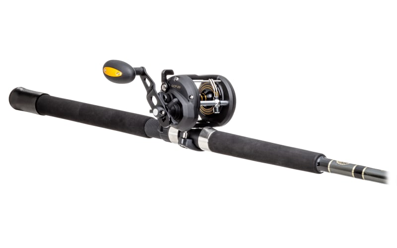 daiwa bg offshore angler gold cup spinning combo Offshore Angler Gold Cup Levelwind Reel and Rod Combo