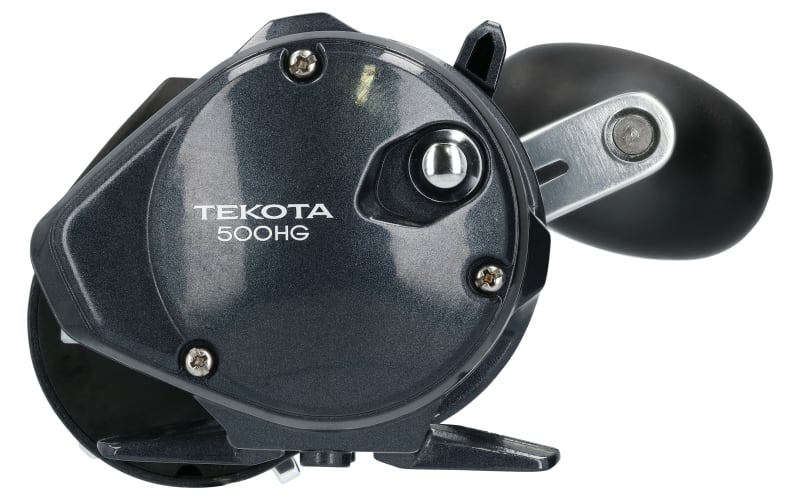 Buy Shimano Tekota 800 Level Wind Overhead Reel online at