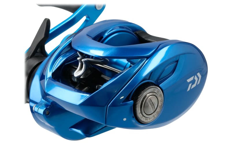 Daiwa coastal cheap