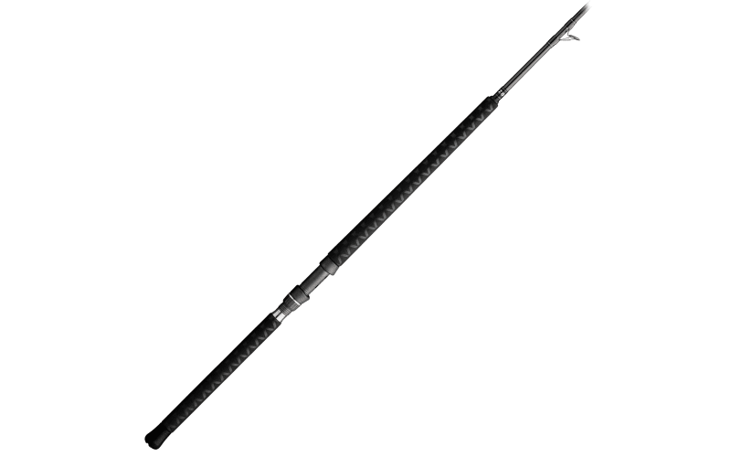 Daiwa Proteus Boat Conventional Rod | Bass Pro Shops