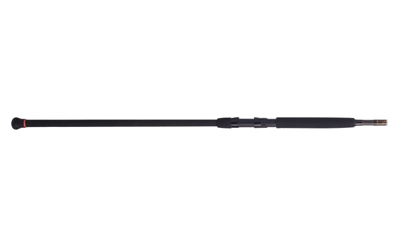 PENN Squadron III Conventional Surf Rod Bass Pro Shops