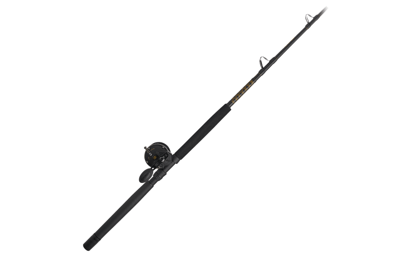 PENN Squall II Levelwind Combo Bass Pro Shops