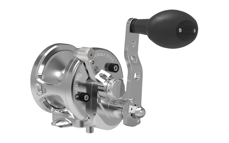 daiwa 1600d reel Daiwa BGMQ6000D-H BG MQ Spinning Reel