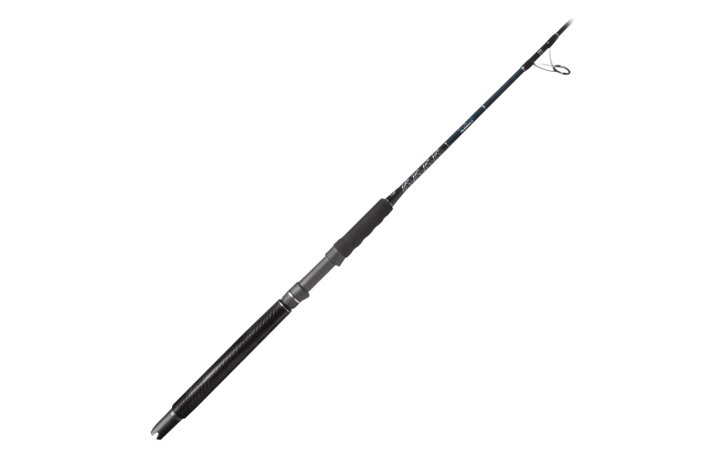 Star Rods Plasma II Boat Spinning Rod | Bass Pro Shops
