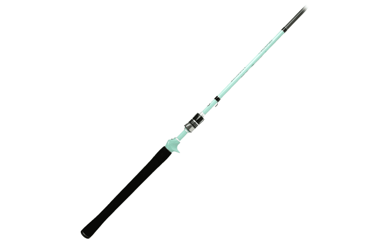 6th Sense Fishing Sensory Saltwater Casting Rod | Bass Pro Shops