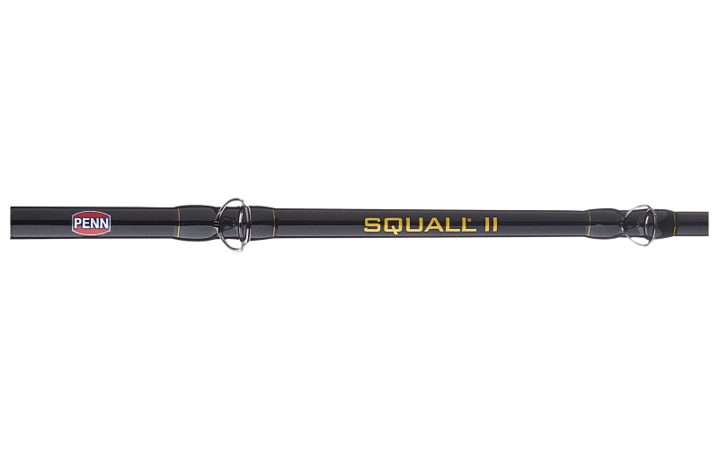 PENN Squall II Lever Drag Conventional Combo