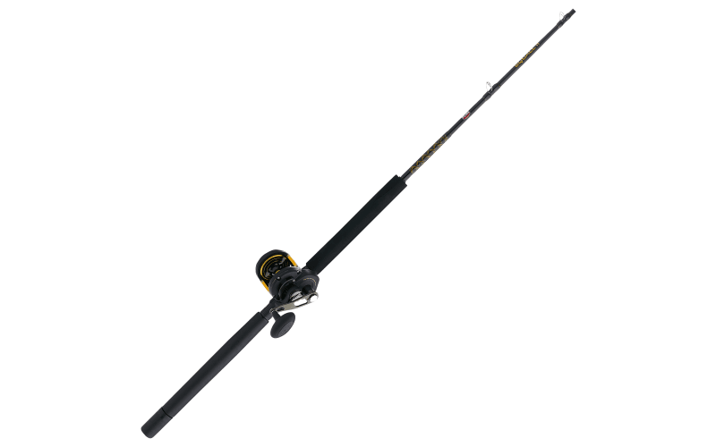 PENN SQLII40LD2040C70LB Squall II Lever Drag Combo