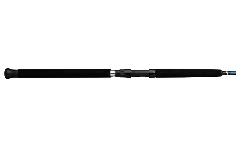 Daiwa Saltist Boat Spinning Rod | Bass Pro Shops