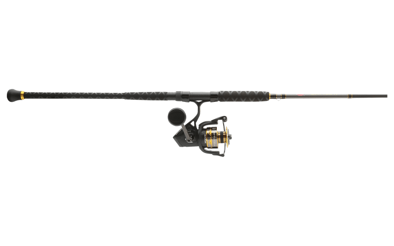 Penn Fierce Penn Surf Combos Penn Battle IV 8000 Reel And Harry's