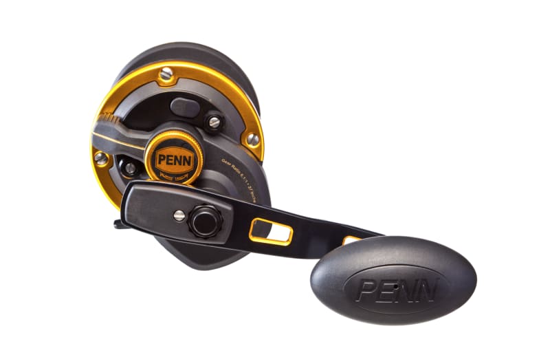 Penn Squall Lever Drag Fishing Reel - Keen's Tackle & Guns