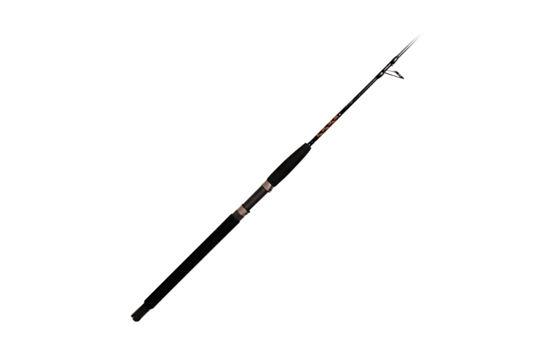 Star Rods Paraflex Jigging Spinning Rod | Bass Pro Shops