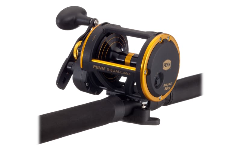 Penn Squall Conventional Lever Drag Fishing Reel - Sql40ldlh - L. Hand  Retrieve : Target