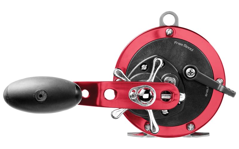 Offshore Angler Captain's Choice Conventional Fishing Reel 6/0 