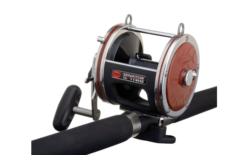 Penn Senator Star Drag Conventional Reel - 115L2