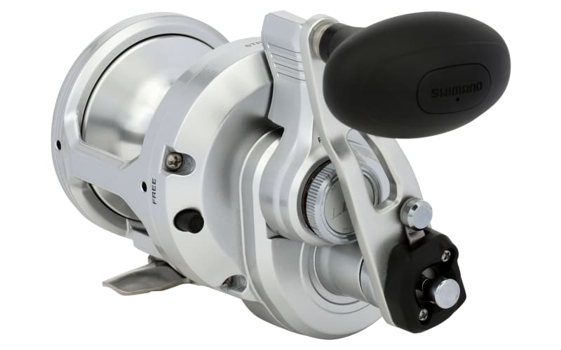 Shimano speedmaster ii conventional reel 2025