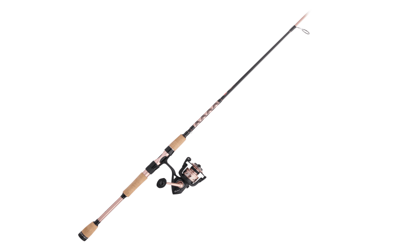 PENN Passion II Spinning Combo | Bass Pro Shops
