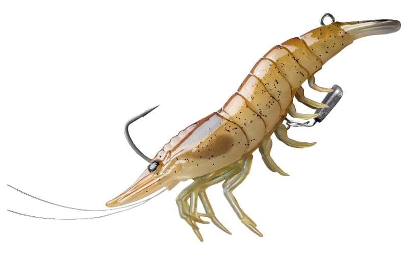 ベビーグッズも大集合 LIVETARGET Live Shrimp | Cabela's ノイジー