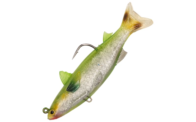 bass pro live target lures LIVETARGET ICT Mullet Swimbait