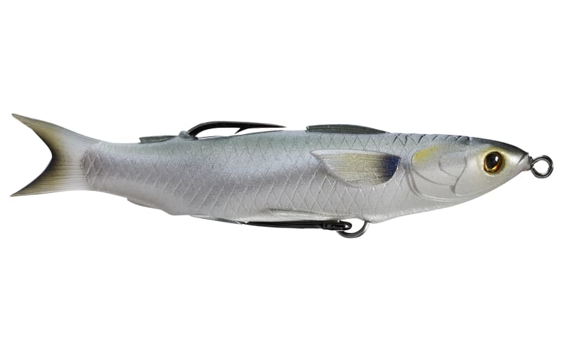 best bass fishing lures in nc Rise and shine