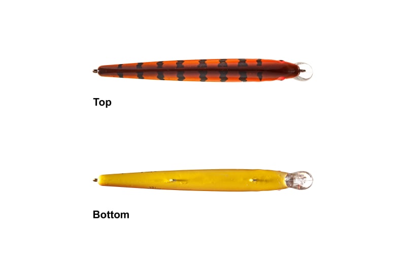 Bomber Lures BSW16ALS1 Saltwater Grade Heavy Duty Long A Bait, Mother of  Pearl : : Sports & Outdoors