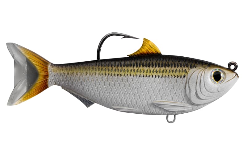 bass pro live target lures LIVETARGET Sardine Swimbait - Silver/Bronze