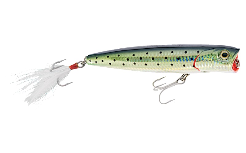 ルアー・フライ Paranoia Puffish ルアー・フライ Paranoia Puffish ルアー・フライ Paranoia Puffish