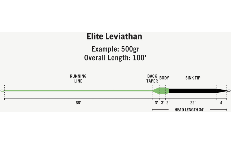 Rio Elite Leviathan Sink/Sink Tip Fly Line