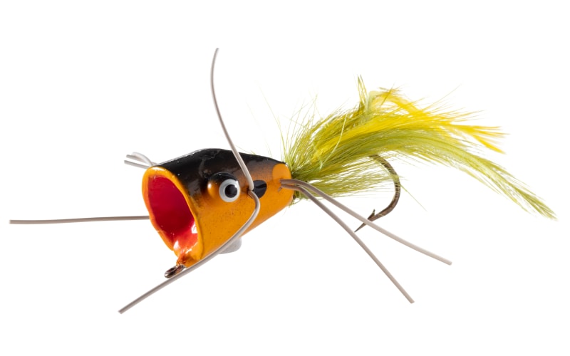best multi species fishing lures Multi-Species Ultralight Fishing | InShore