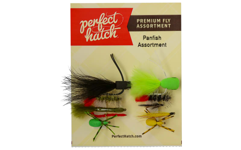best bottom fishing reel 2017 Species - Bottom Fishing - Bottom Fishing Reels - Page 1