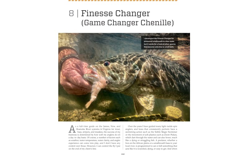 Game Changer: Tying Flies That Look and Swim Like the Real Thing [Book]
