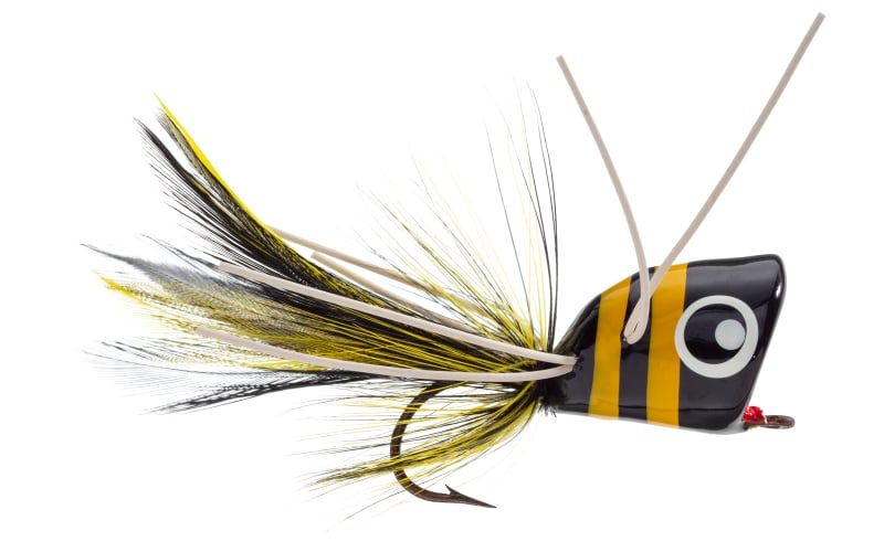 dam fishing lures Best 5 Ways For Catching Bass While Dam Fishing  Hunting and Fishing Depot