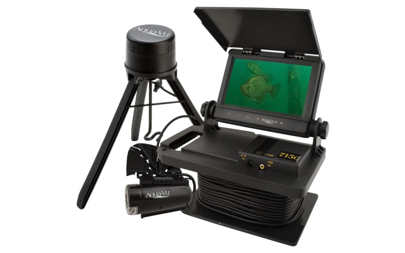 arri clm