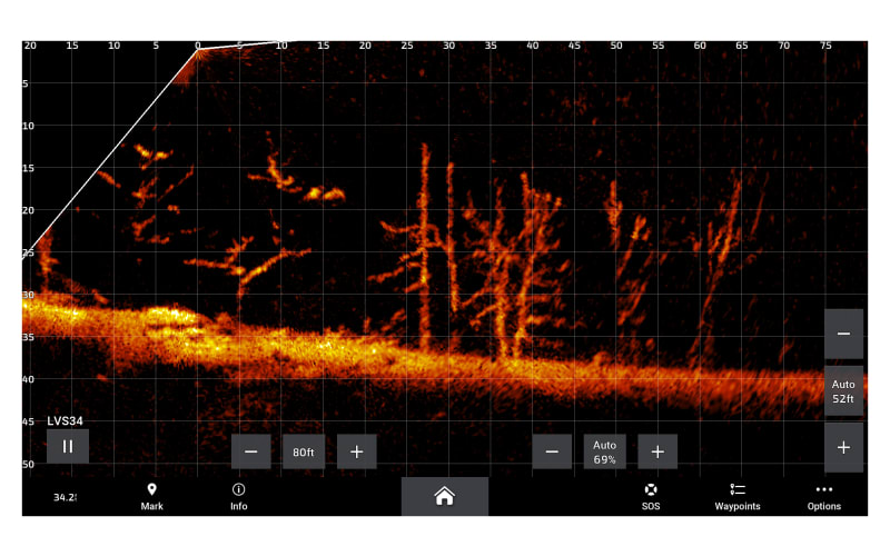 Garmin LVS34 LiveScope Plus Live Scanning Sonar Transducer