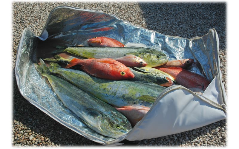 C.E. Smith Insulated Tournament Fish Cooler Bag